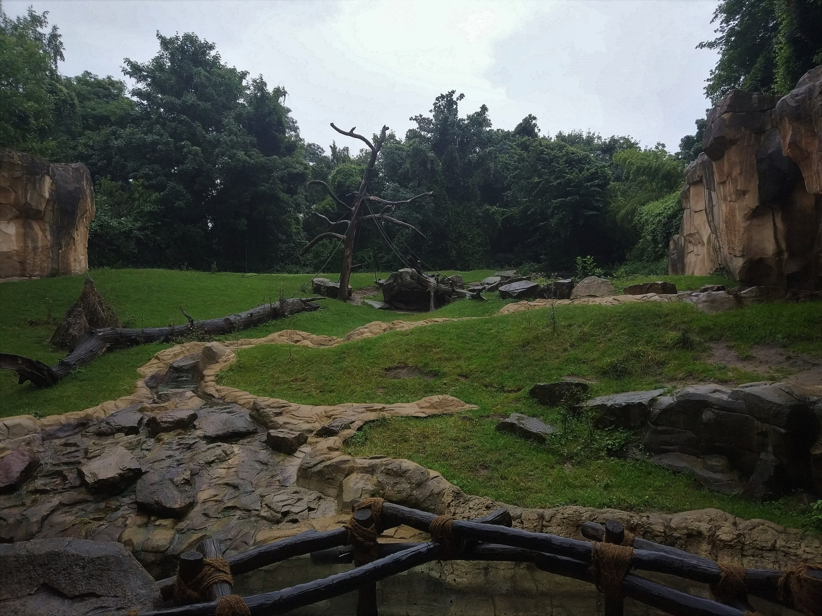 Gorilla Outdoors - Ape House