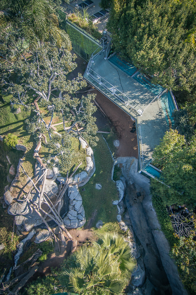 Gorilla Overhead, Part 02