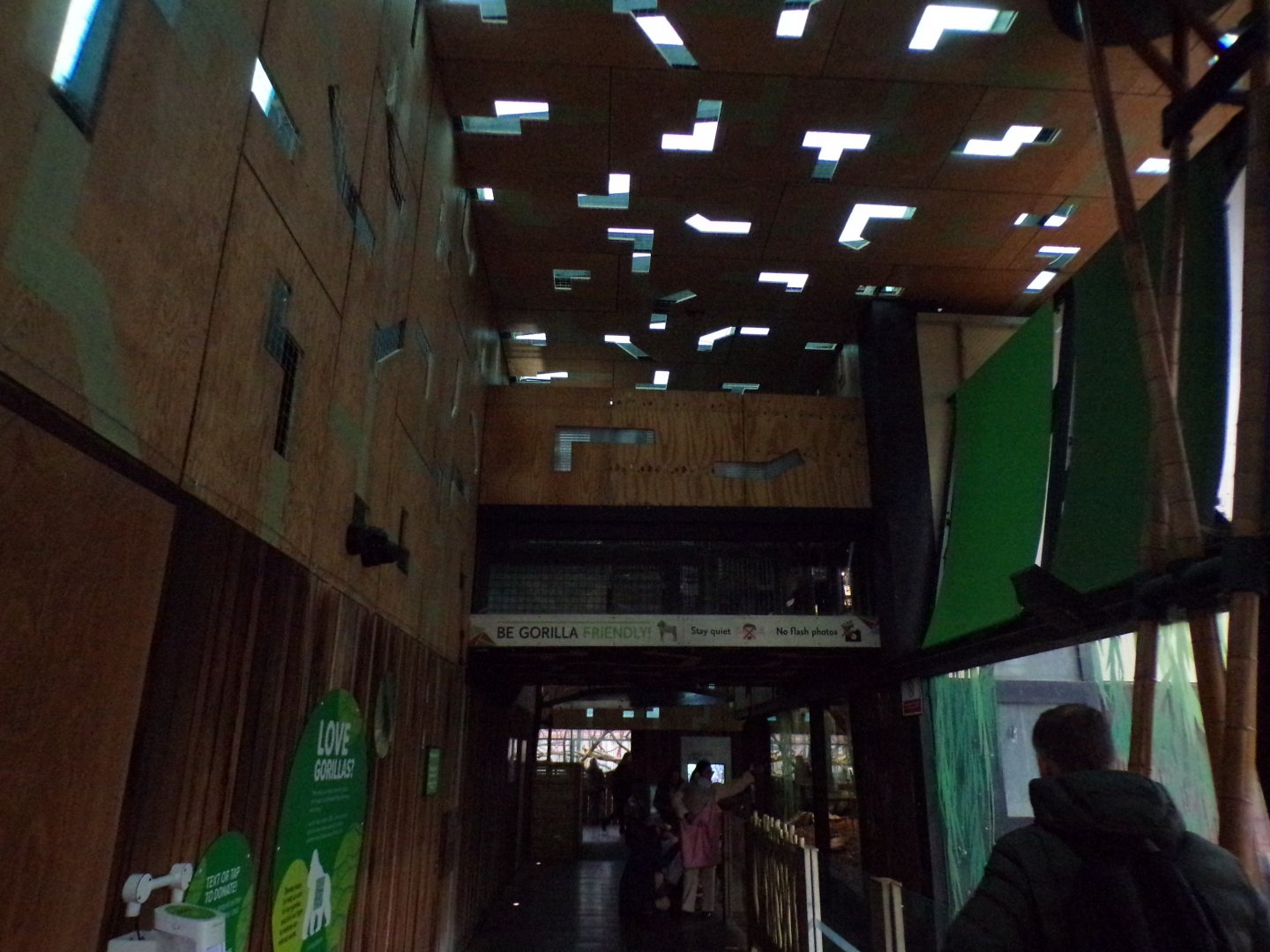 Gorilla overhead tunnel 11.2.25