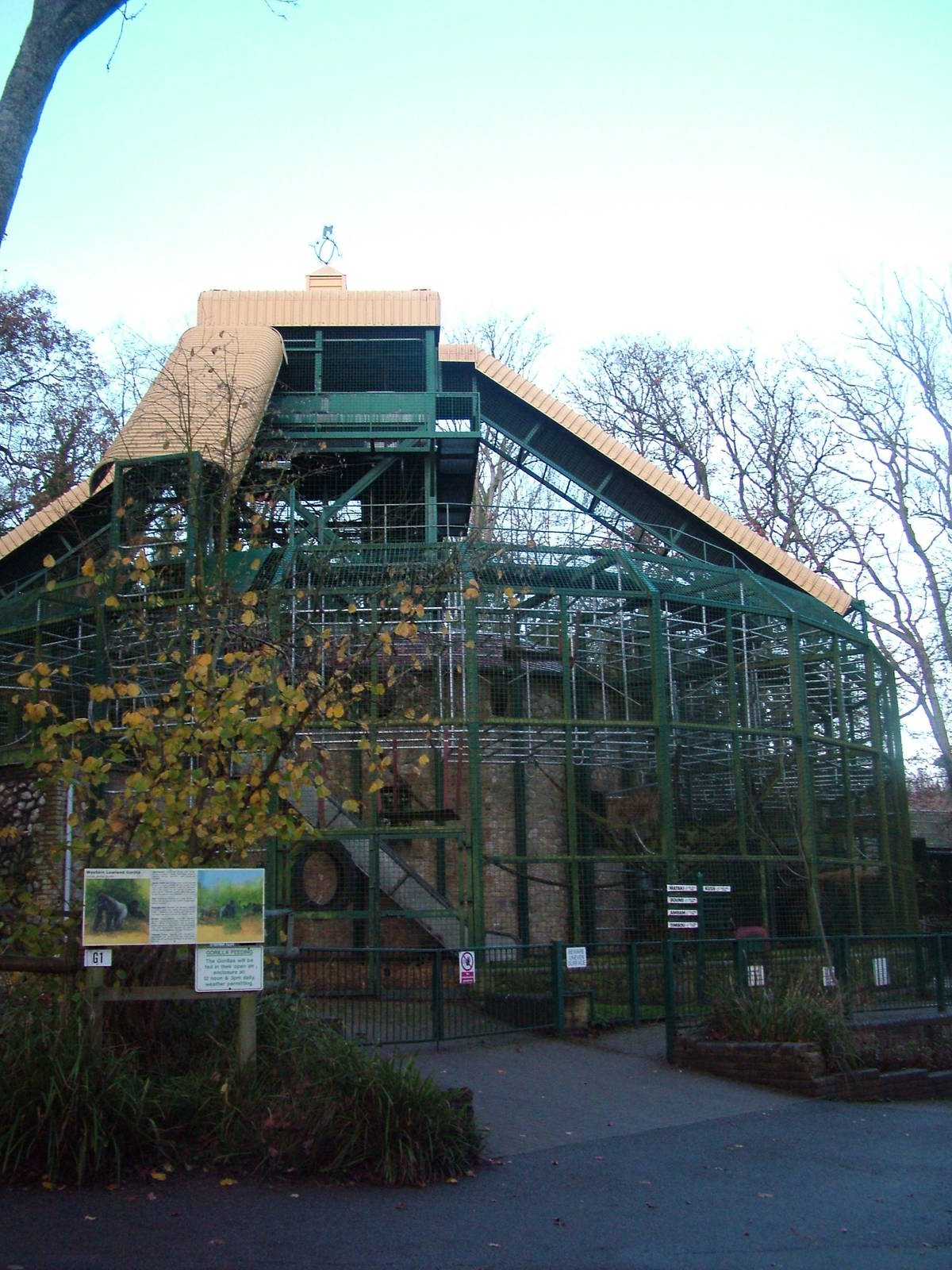 Gorilla Pavilion at Port Lympne 27/11/09