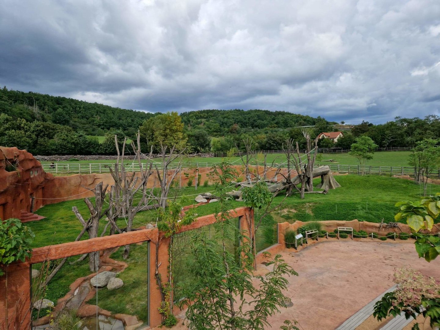 Gorilla pavilion outdoor