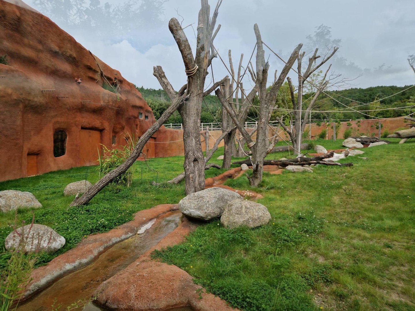 Gorilla pavilion outdoor