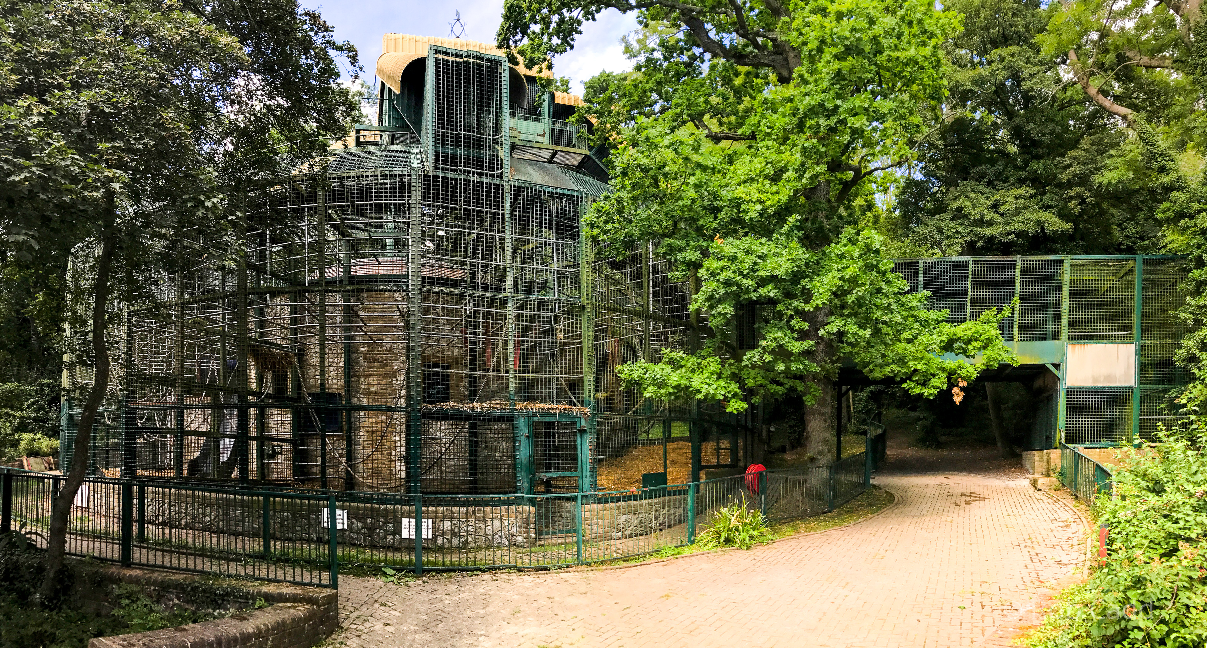 Gorilla Pavilion : Port Lympne : 22 Jul 2017