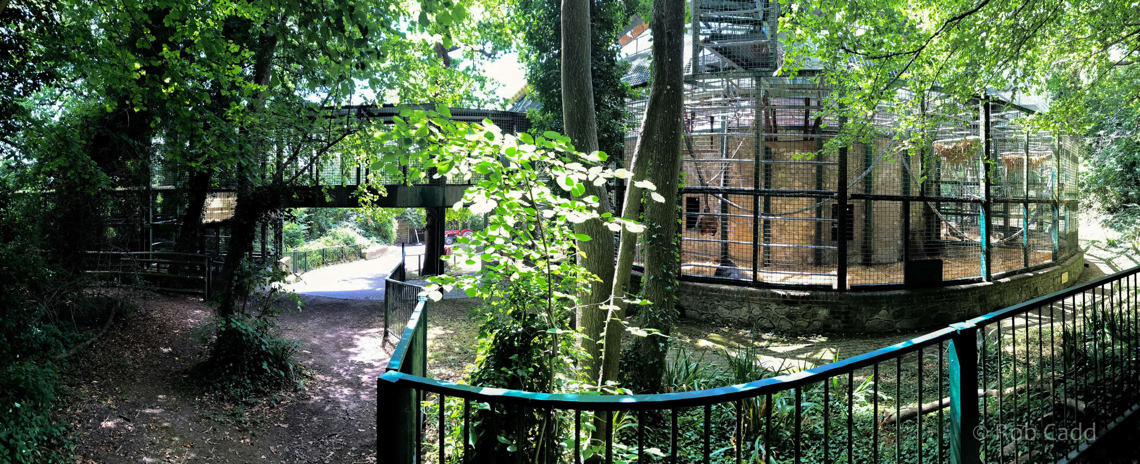 Gorilla Pavilion : Port Lympne : 22 Jul 2017