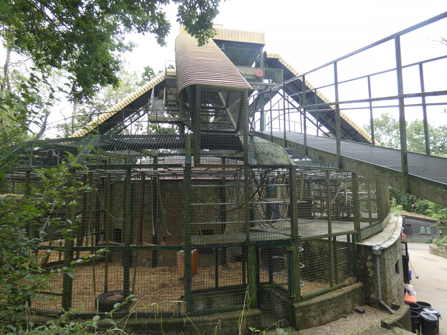 Gorilla Pavilion