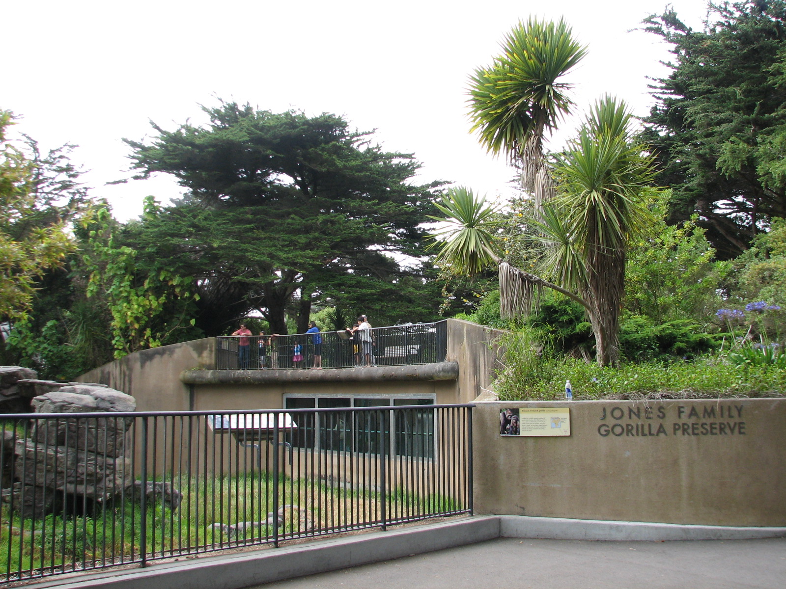 Gorilla Preserve - Entry