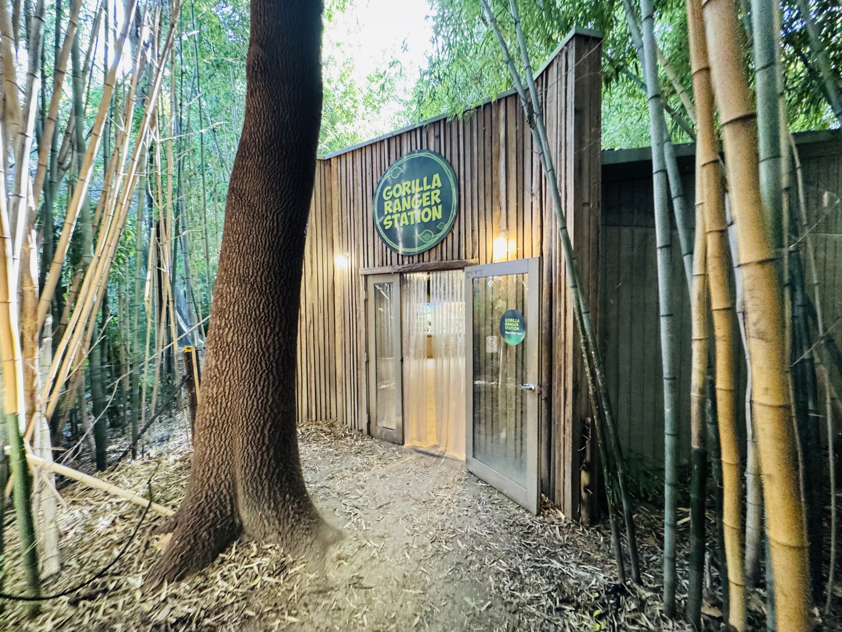 Gorilla Ranger building