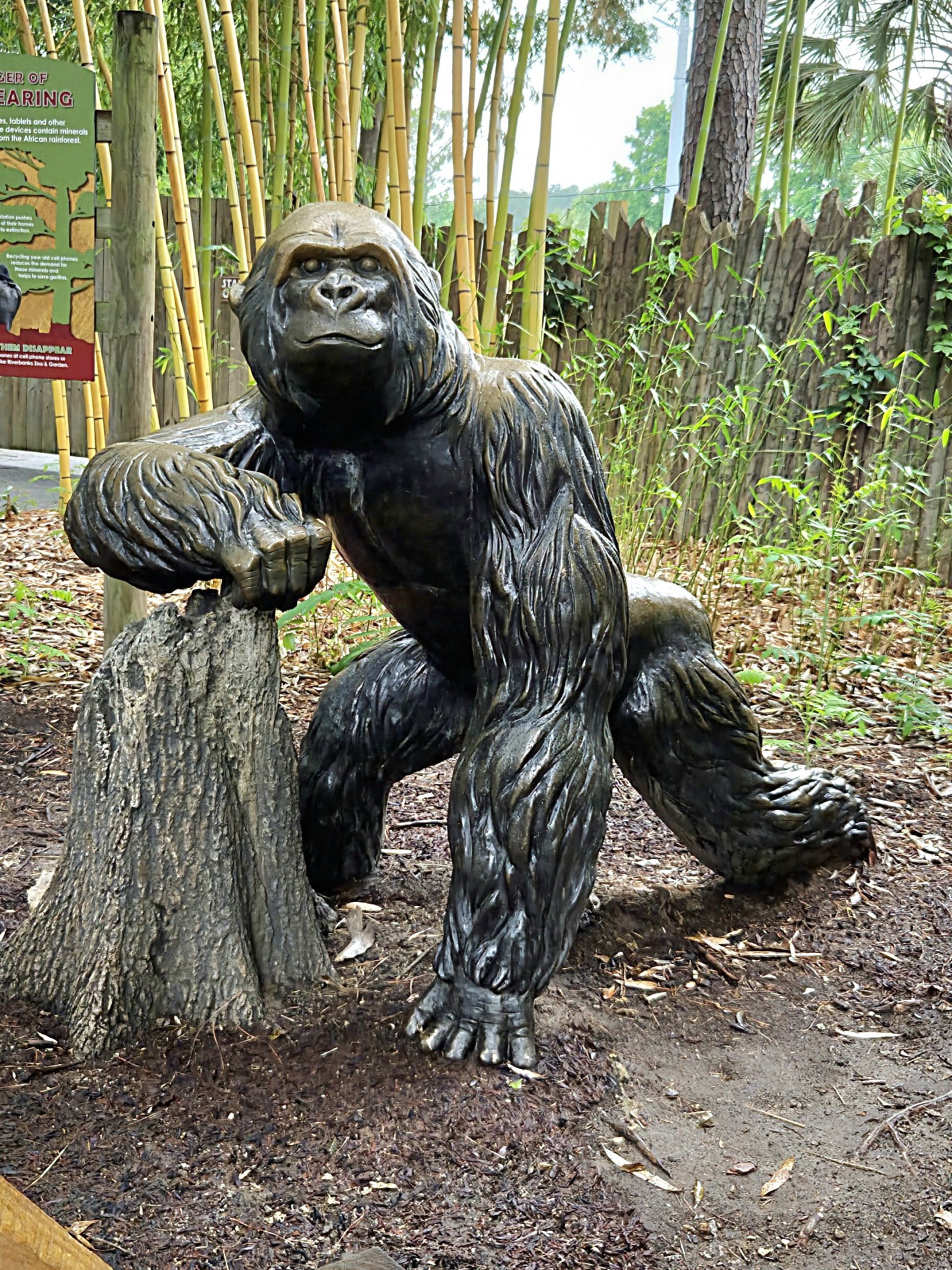 Gorilla Sculpture - Riverbanks Zoo
