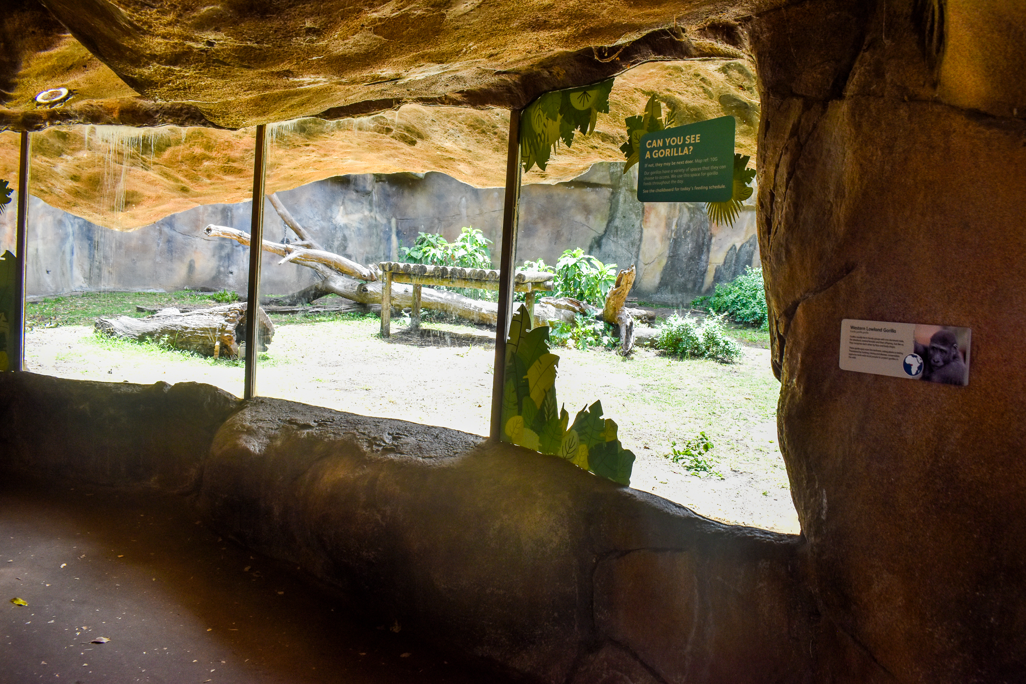 Gorilla Side Enclosure