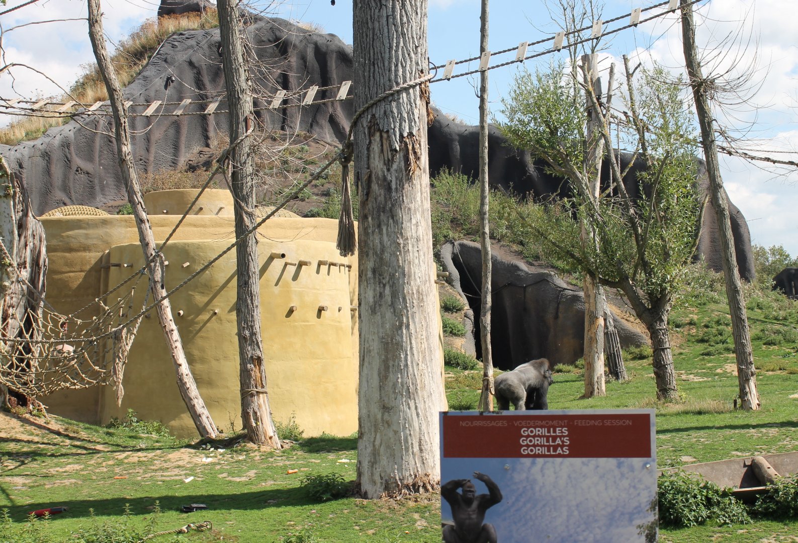 Gorilla-sign and enclosure