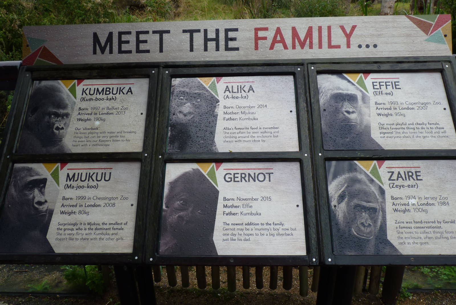 Gorilla sign, September 2016