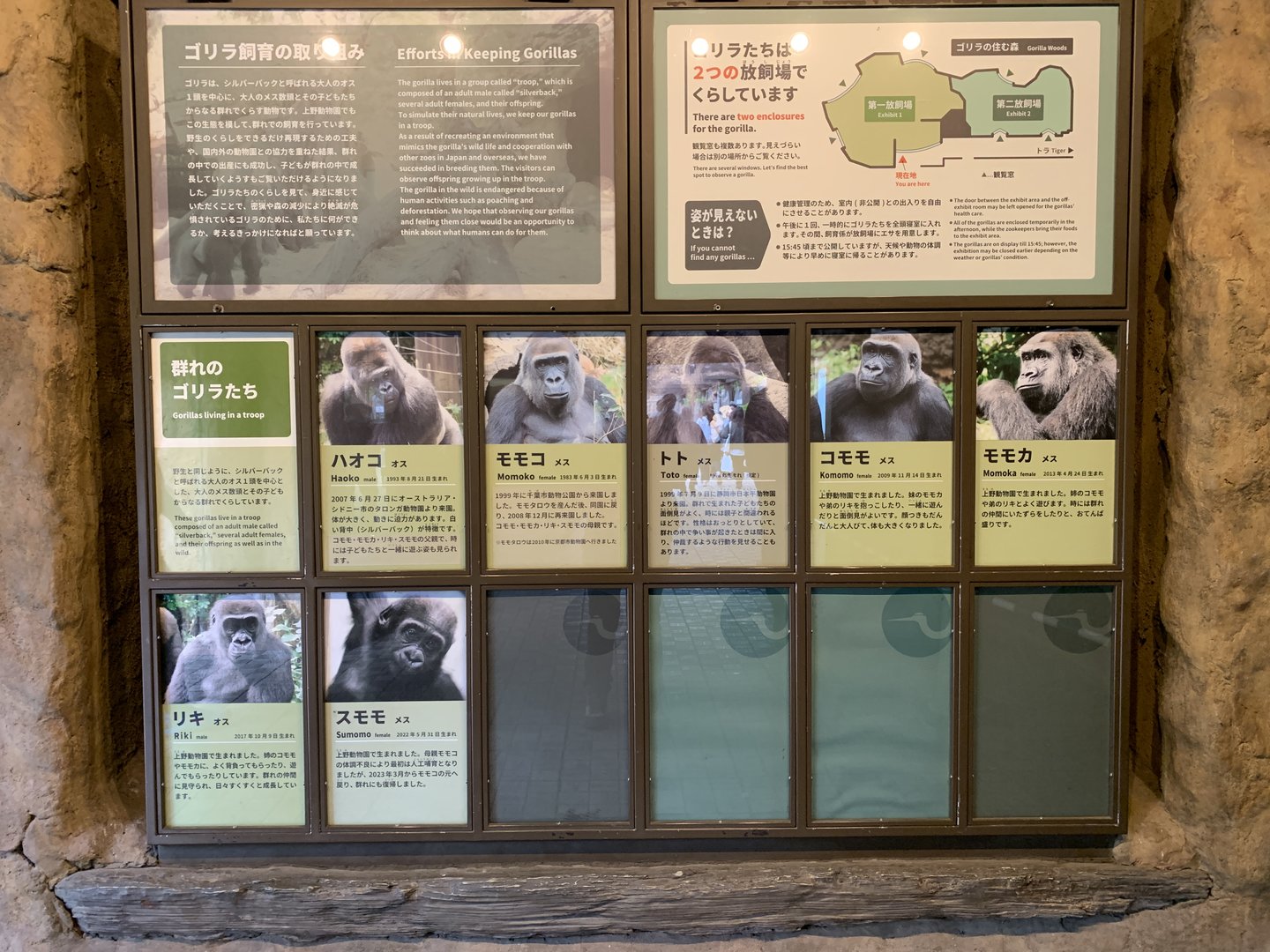 Gorilla Signage