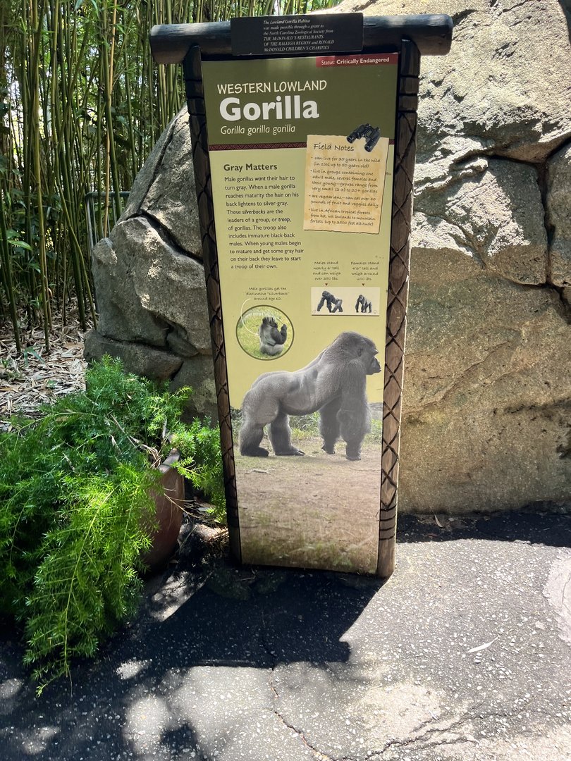 Gorilla Signage