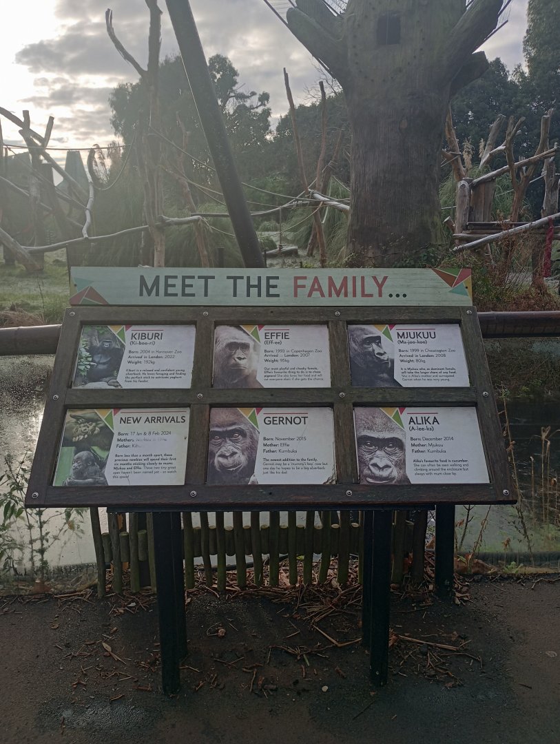 Gorilla signpost about family