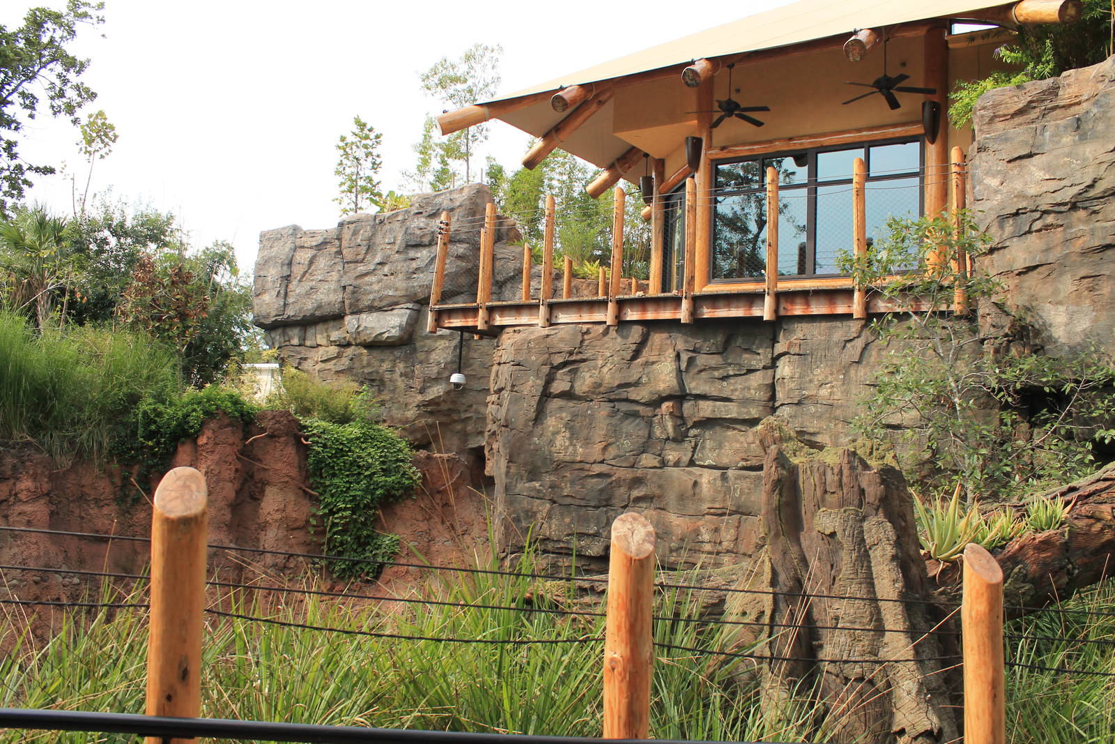 Gorilla special event area