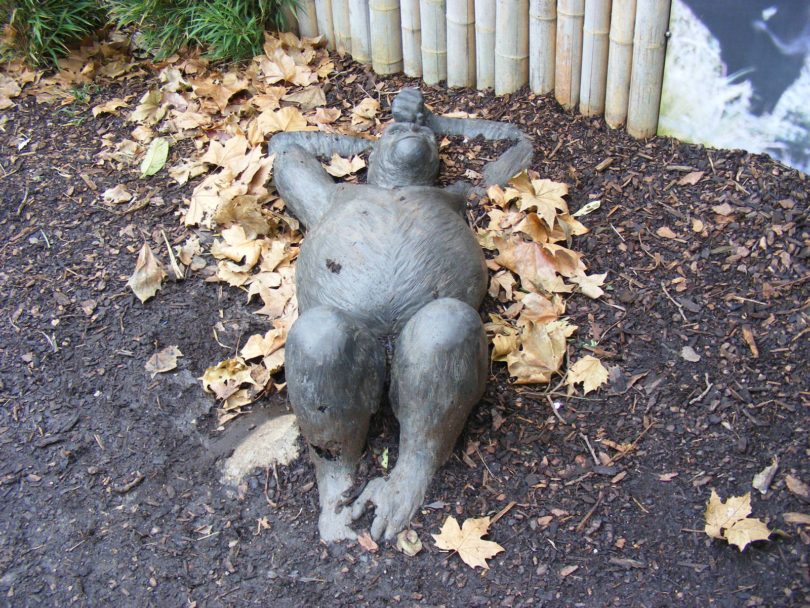 Gorilla statue at London Zoo, 15 January 2011