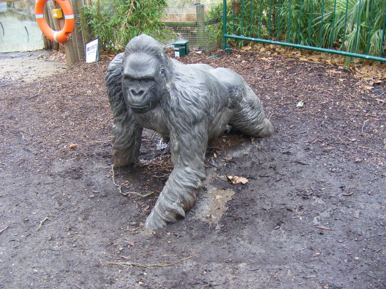 Gorilla statue at London Zoo, 15 January 2011