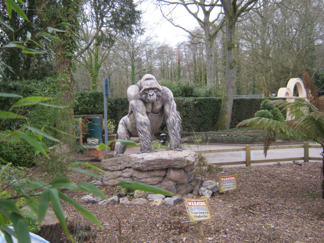 Gorilla statue.