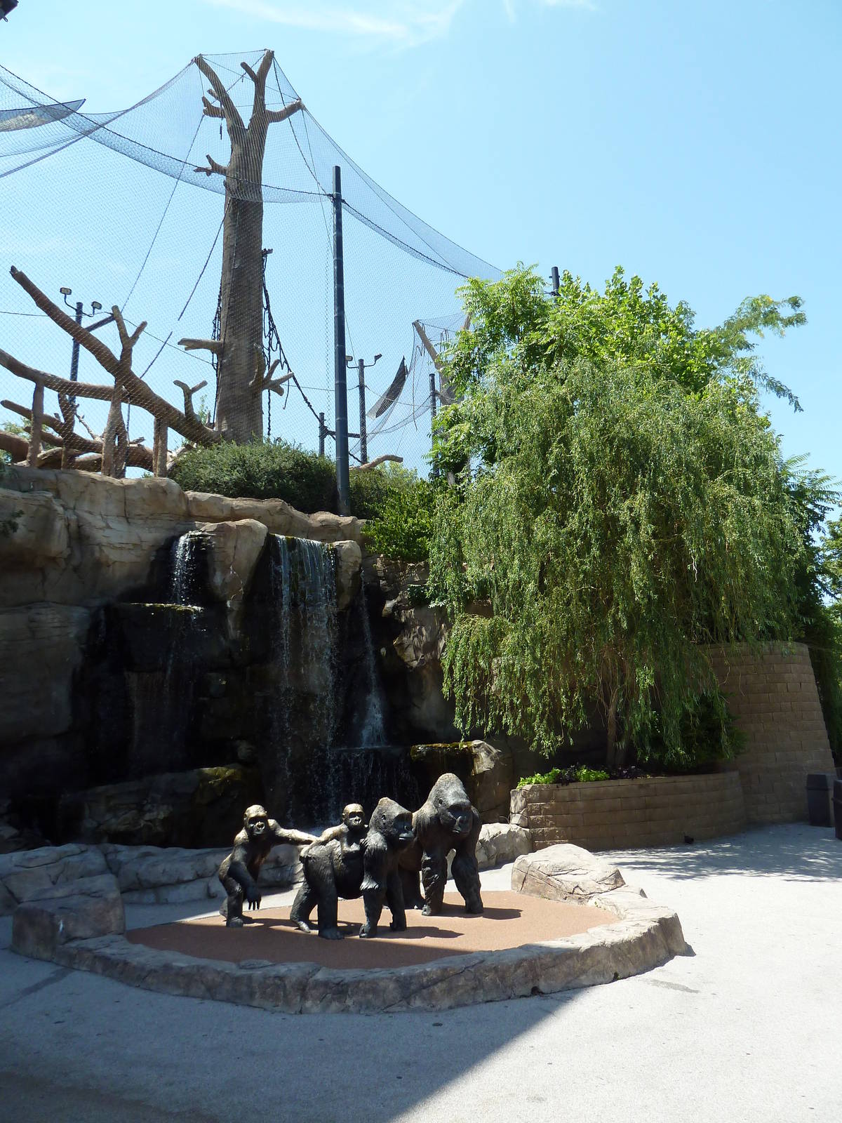 Gorilla Statues + Bornean Orangutan/Siamang Exhibit