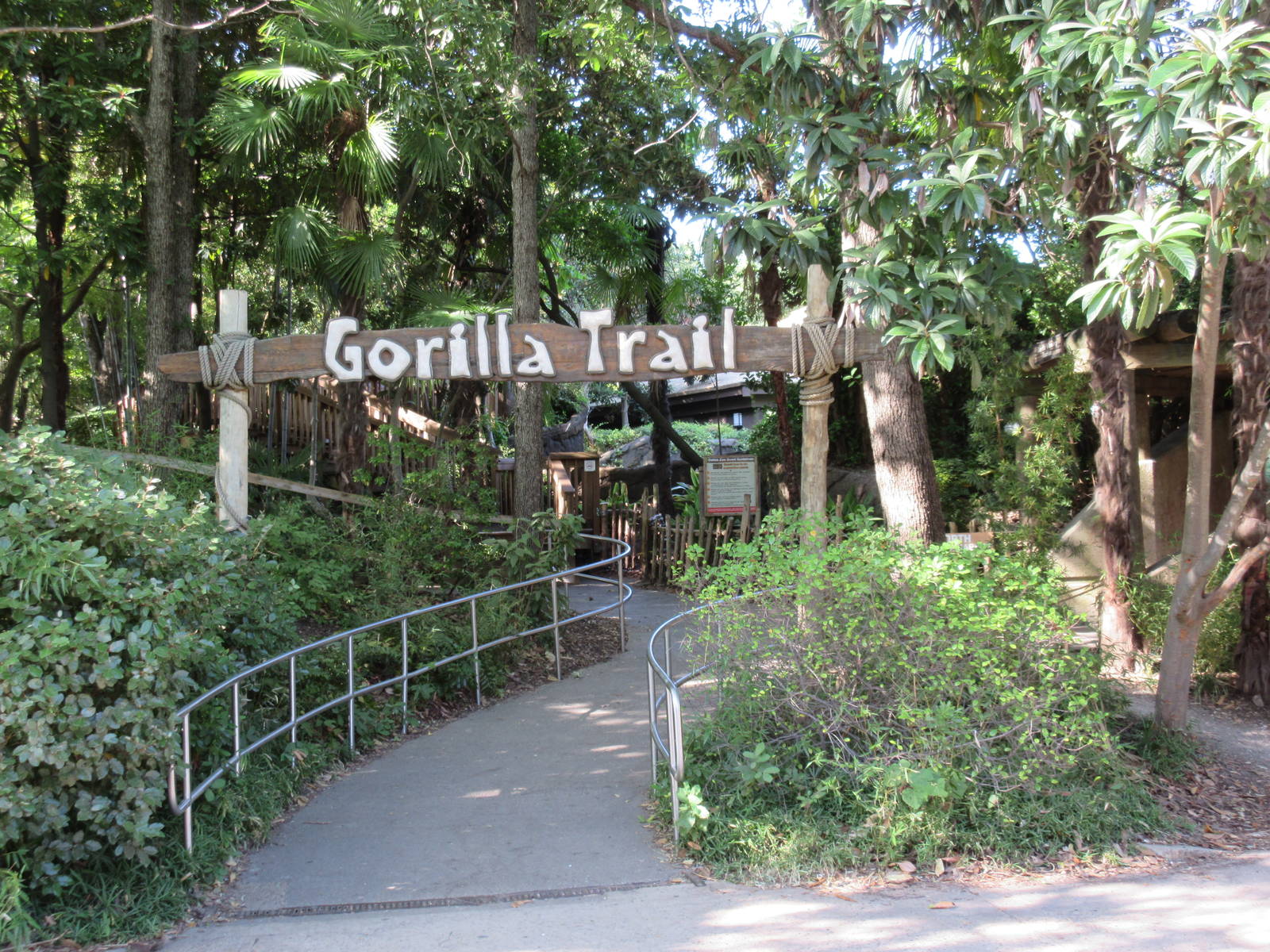 Gorilla Trail - Entrance