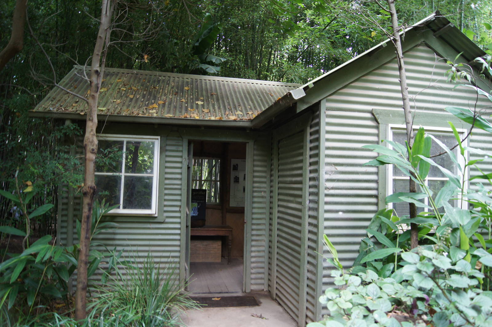 Gorilla Trail Researcher's Hut
