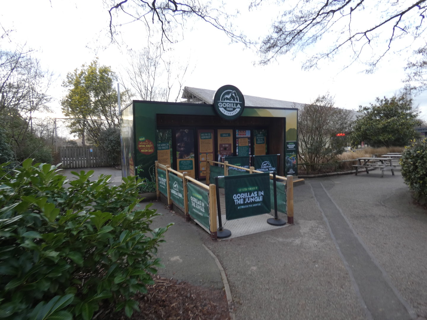 'Gorilla Trek' Virtual Reality experience