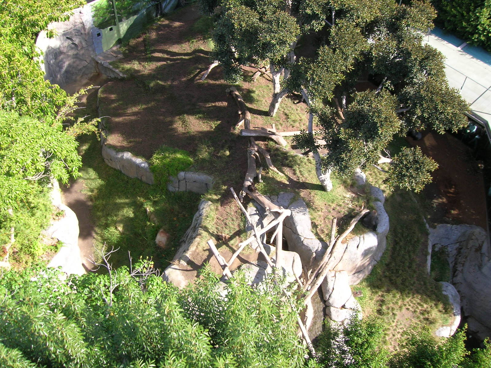Gorilla Tropics Aerial View