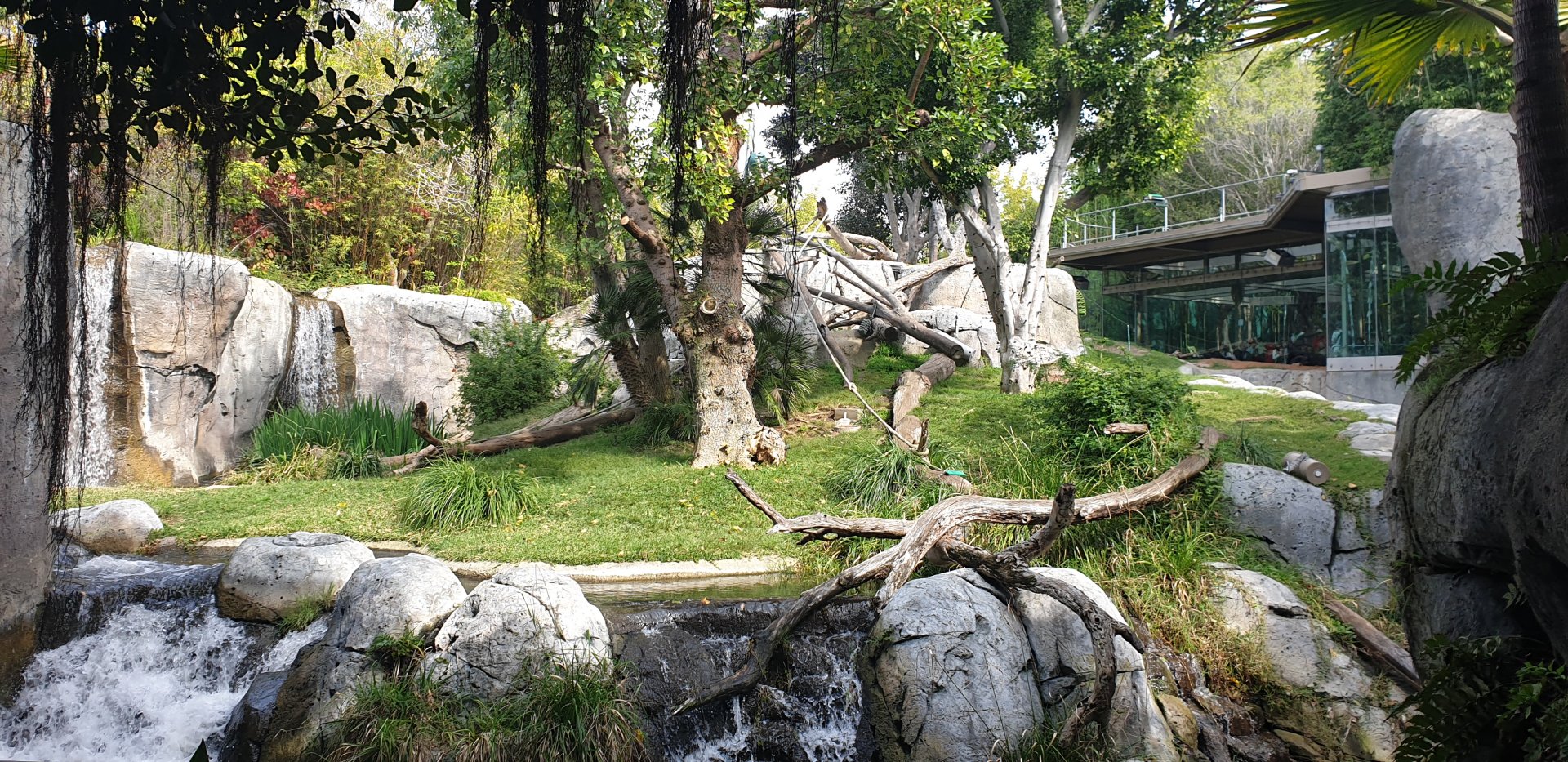 Gorilla Tropics, Lost Forest