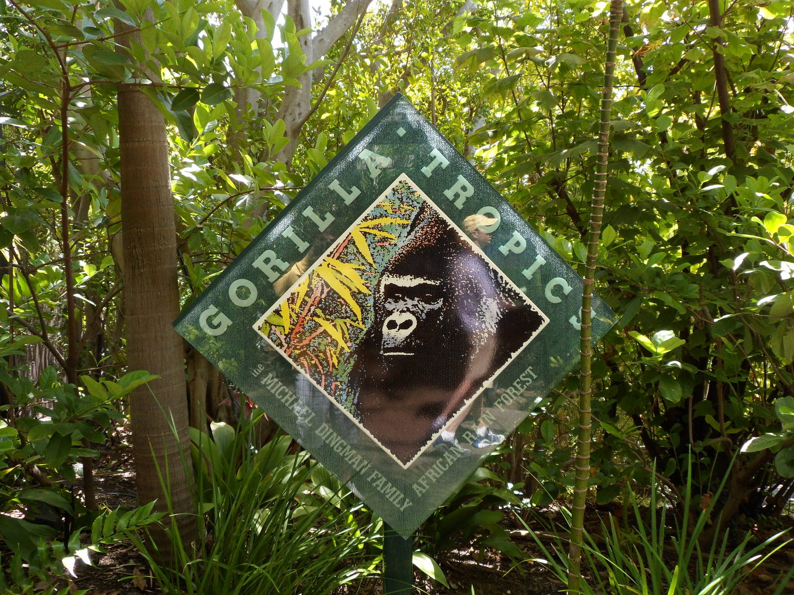 Gorilla Tropics Sign