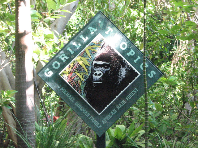 Gorilla Tropics