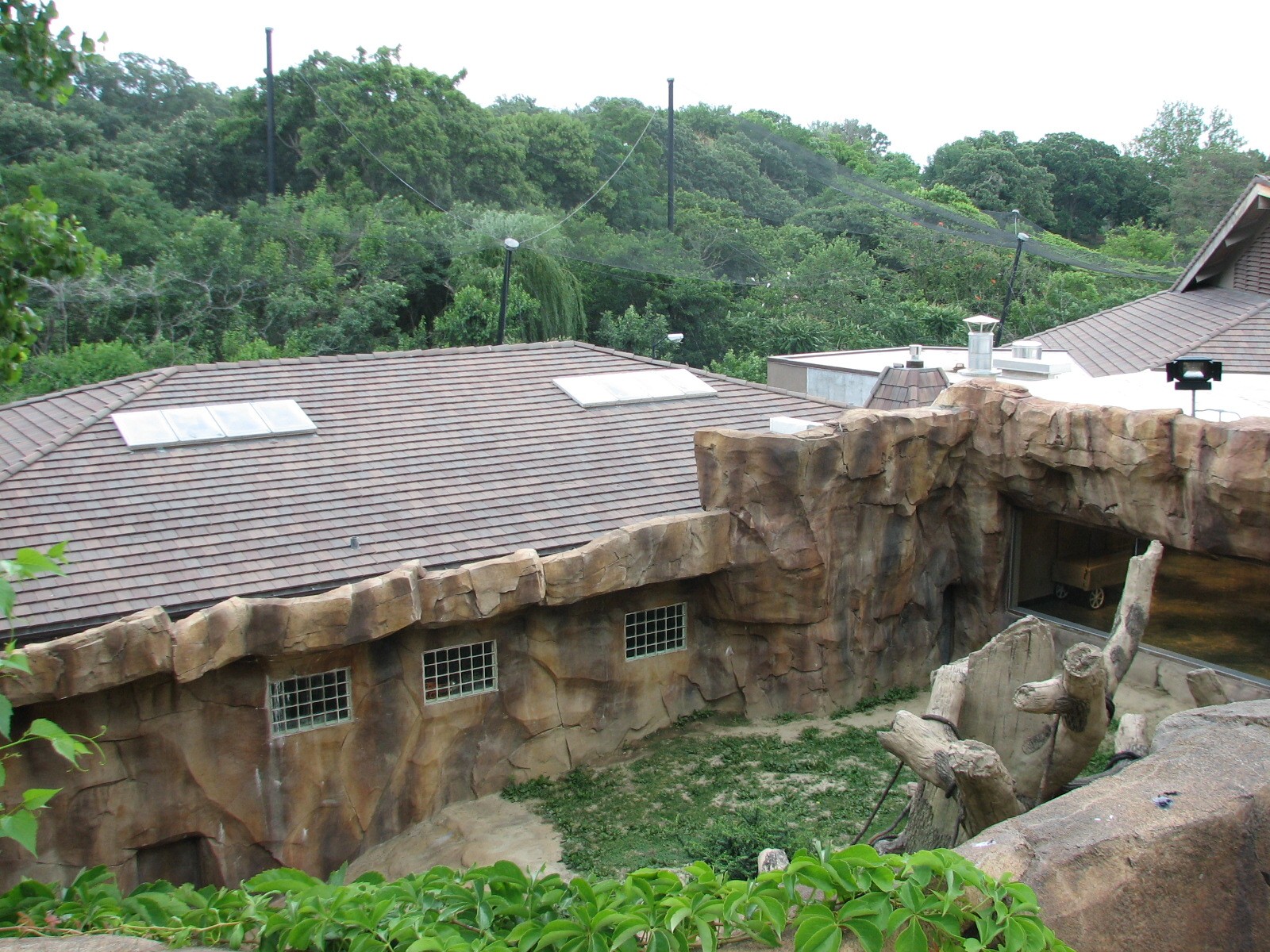 Gorilla Valley - Exterior