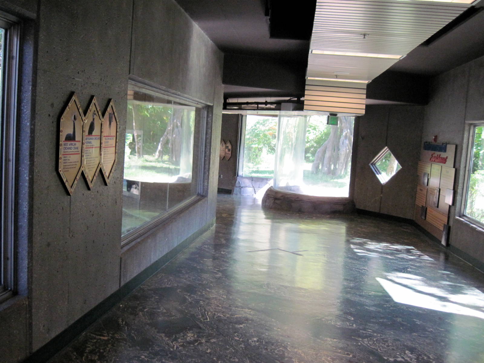 Gorilla Valley-Hallway