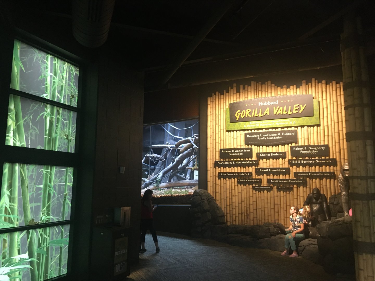 Gorilla Valley Lower Entrance Entry