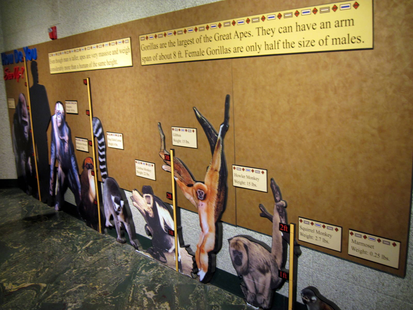 Gorilla Valley-Signage