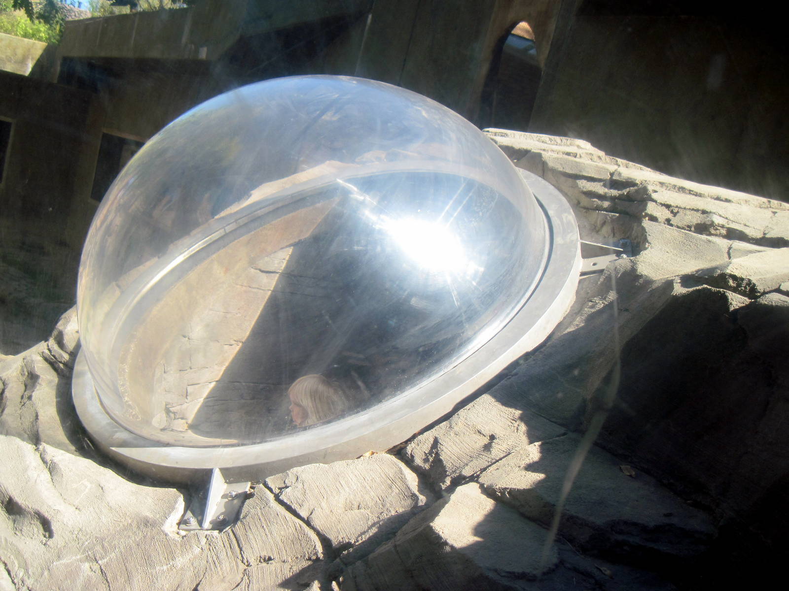 Gorilla Valley-Western Gorilla Viewing Bubble