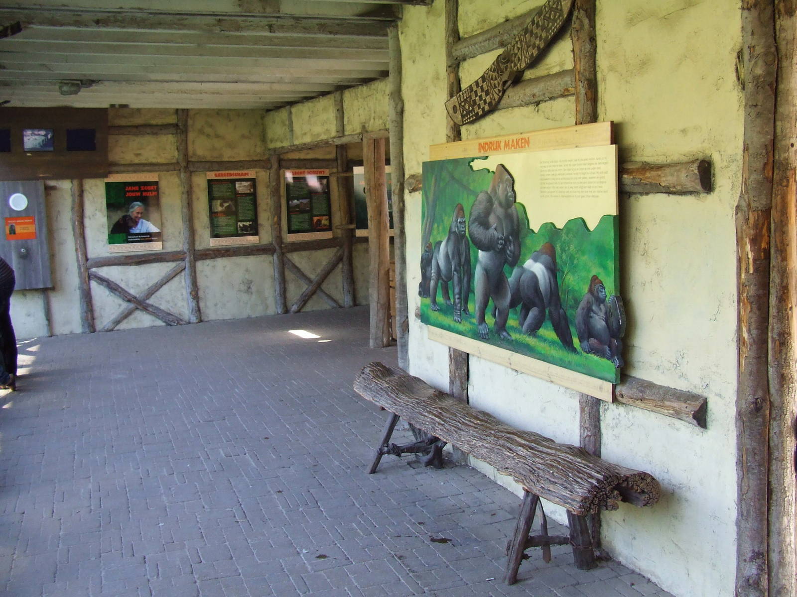 Gorilla viewing area, interior