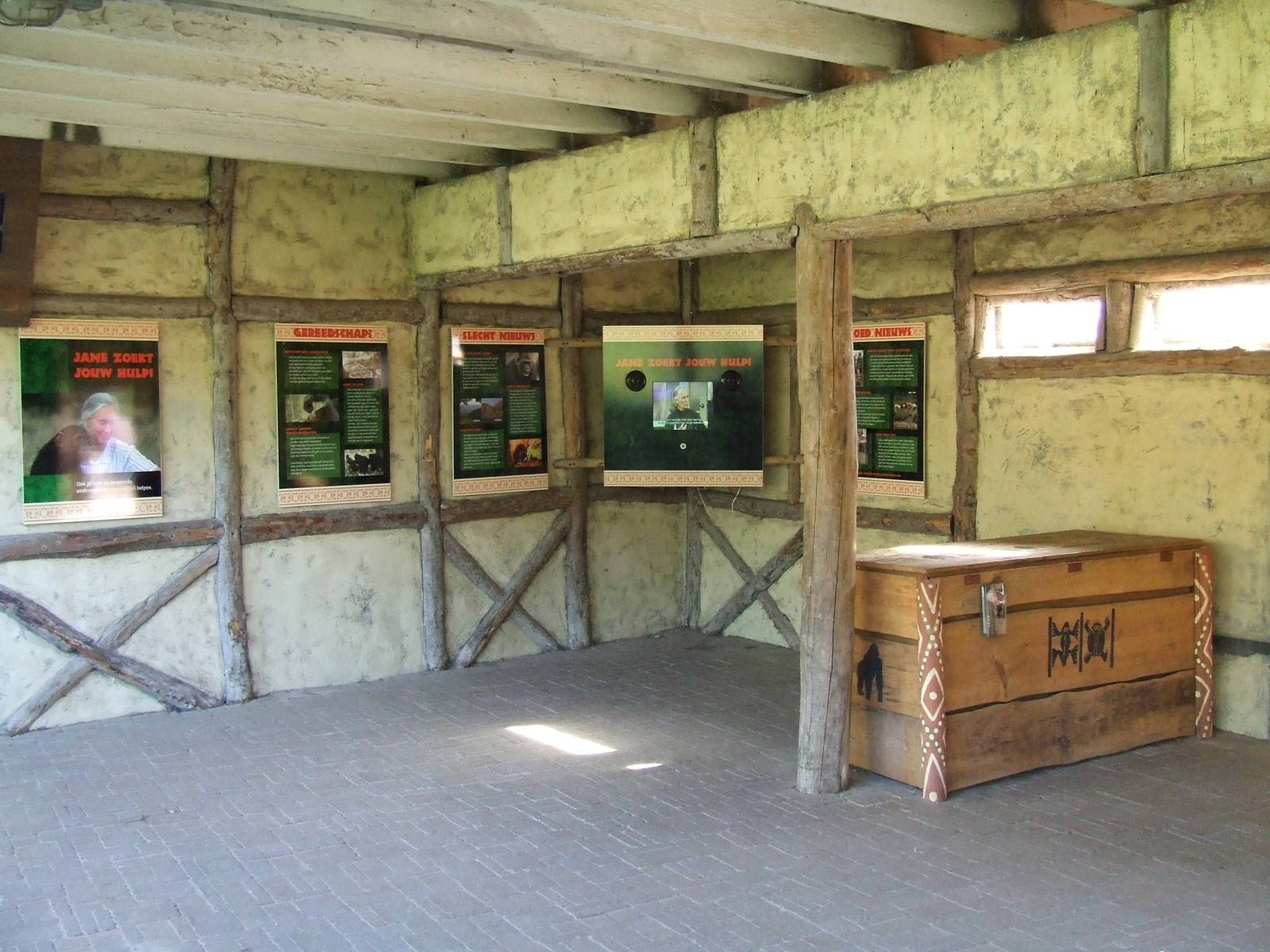 Gorilla viewing area, interior