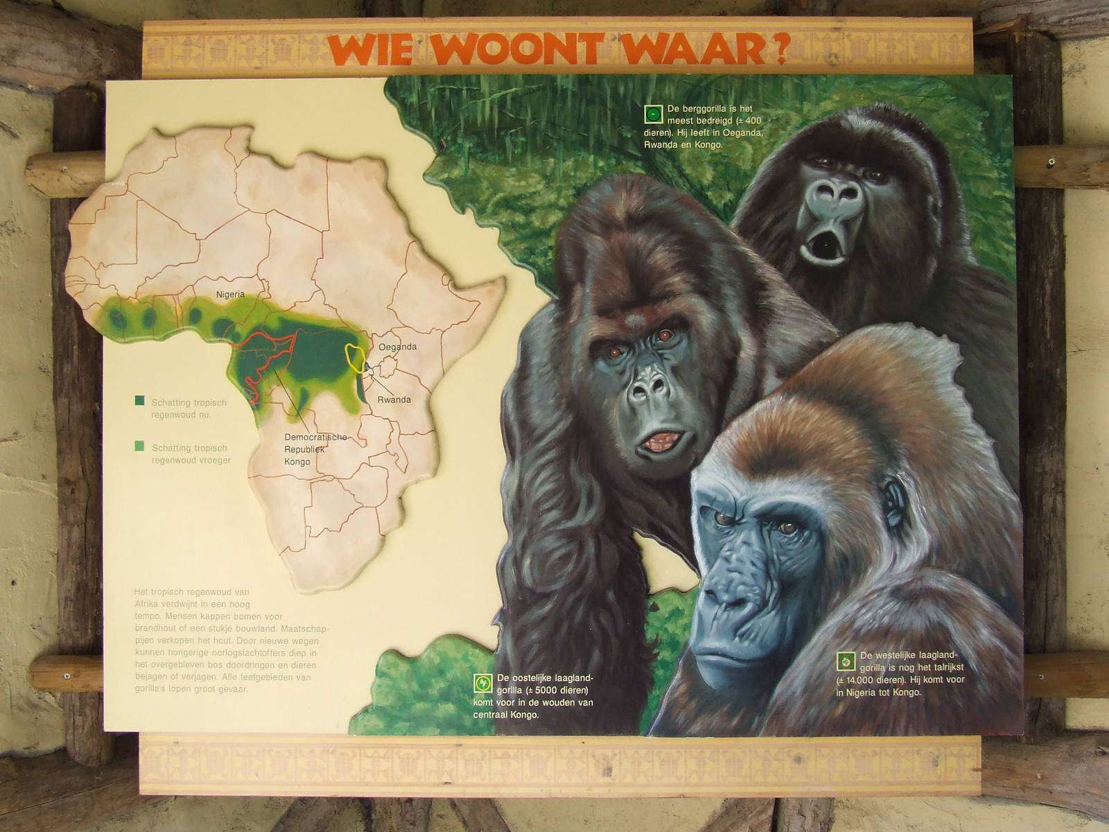 Gorilla viewing area, interior