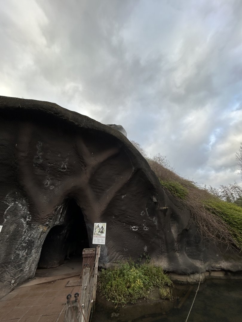 Gorilla volcano cave