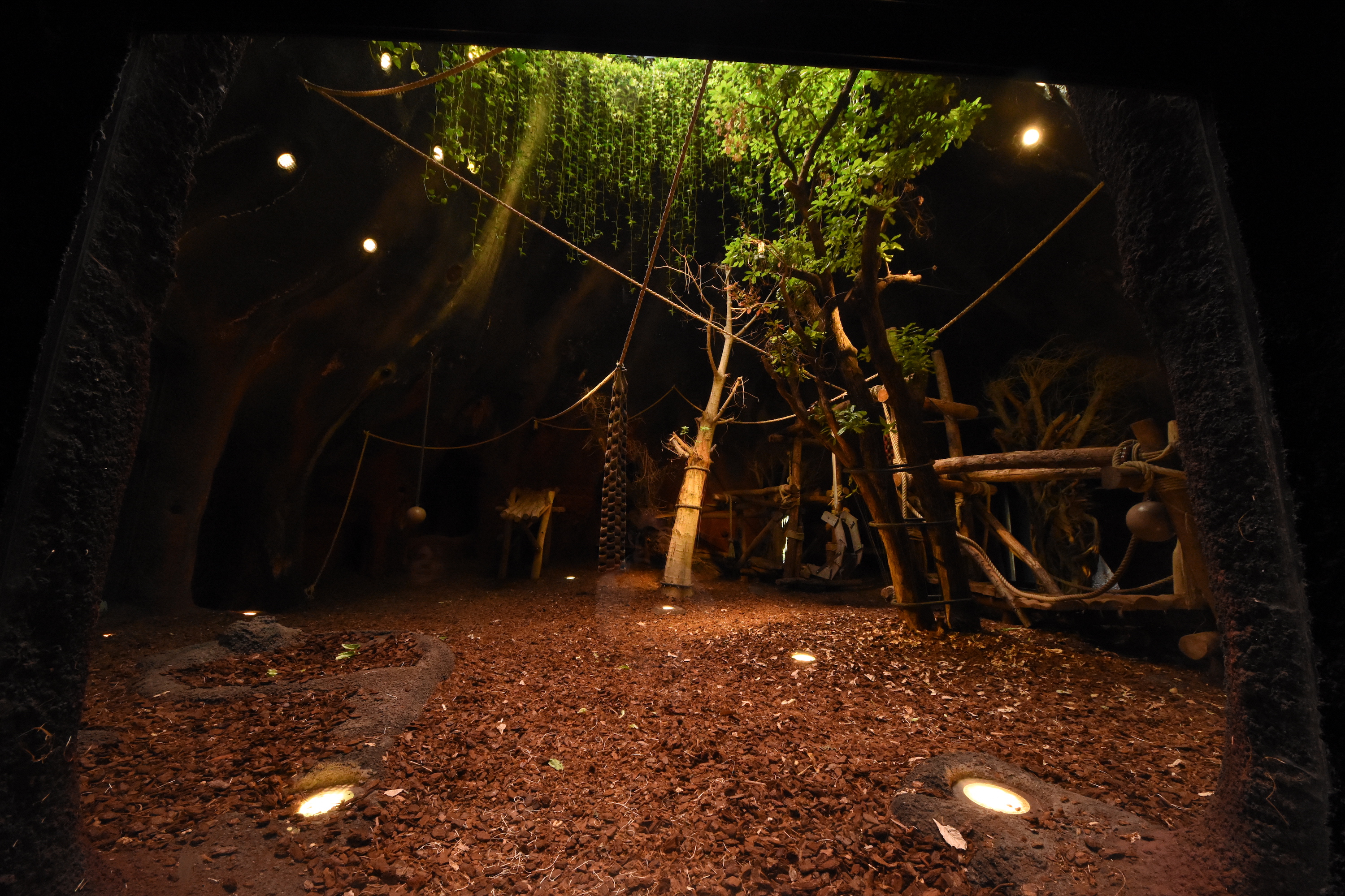 Gorilla volcano number 1