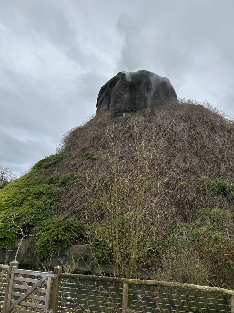 Gorilla volcano seen from the train route