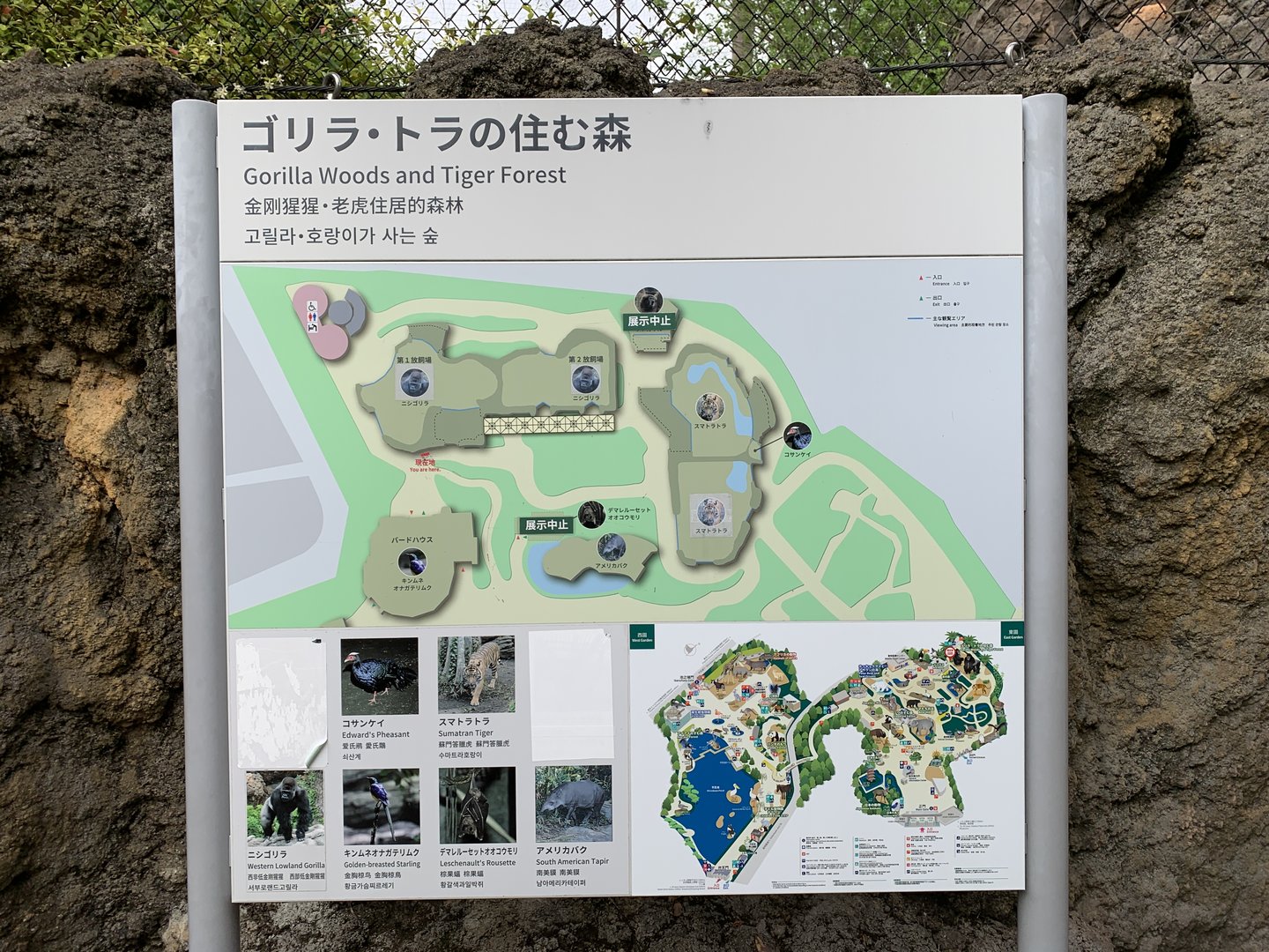 Gorilla Woods and Tiger Forest Sign