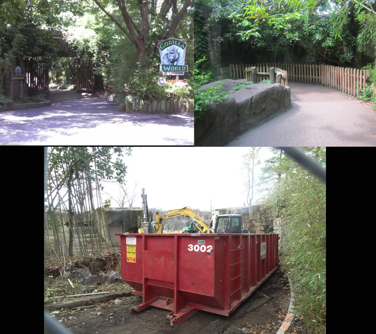 Gorilla World Entrance - Before and After