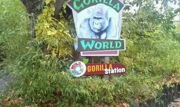 Gorilla World-Entrance Sign