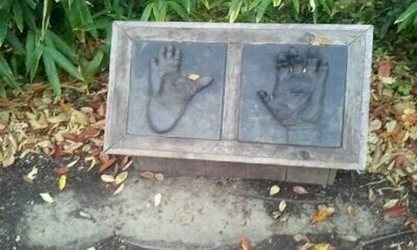 Gorilla World-Interactive Gorilla Hand + Foot