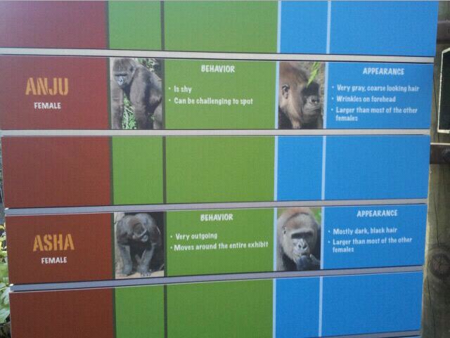 Gorilla World-New Gorilla Identification signs