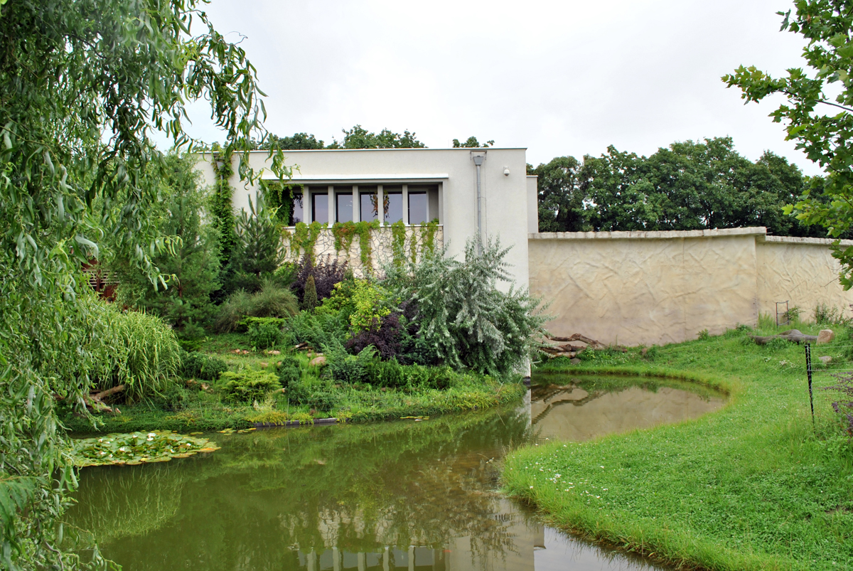 Gorillas and Chimpanzees House