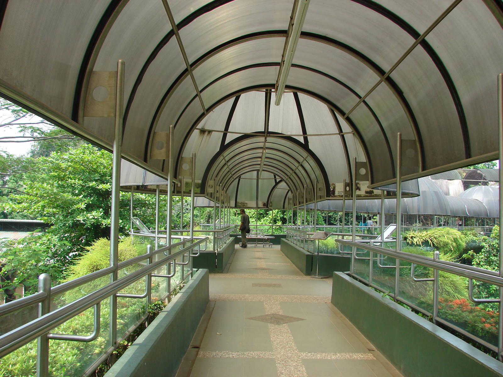 Gorillas enclosure - Schmutzer Primate Centre