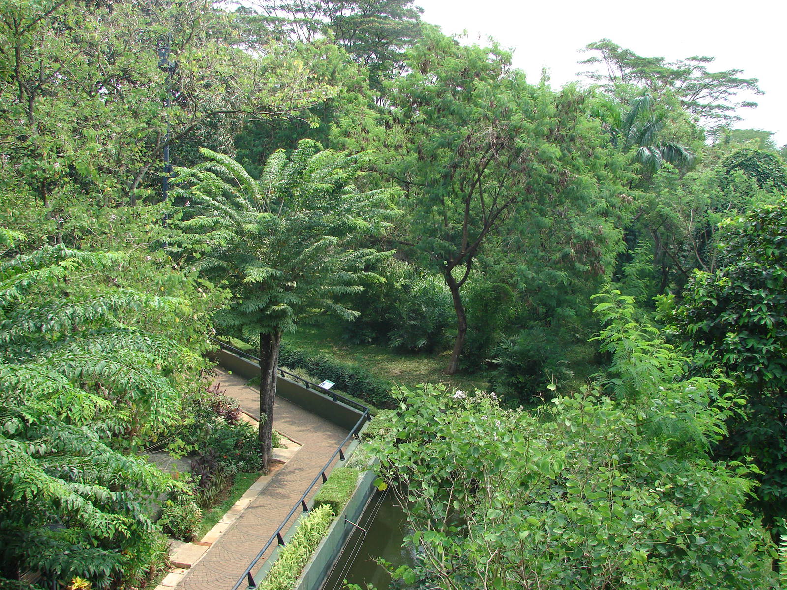 Gorillas enclosure - Schmutzer Primate Centre