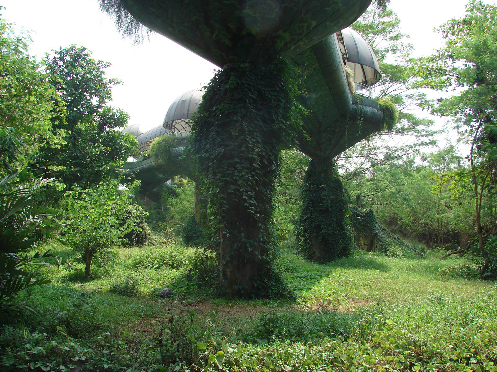 Gorillas enclosure - Schmutzer Primate Centre